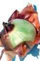 peeling_onion.jpg